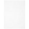 14 Count Perforated Plastic Stitching Canvas 8.5"X11"2/Pkg