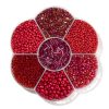 In Bloom Red Seed Bead/E-BEad Mix Assortment In Plastic Flower Storage Case